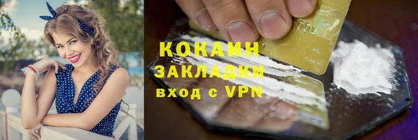 прущие грибы Сафоново