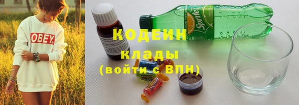 прущие грибы Сафоново